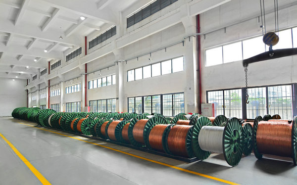 �͉���|���a܇�g01